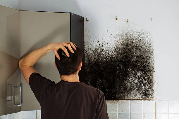 Best Crawl Space Mold Removal  in Agua Dulce, TX